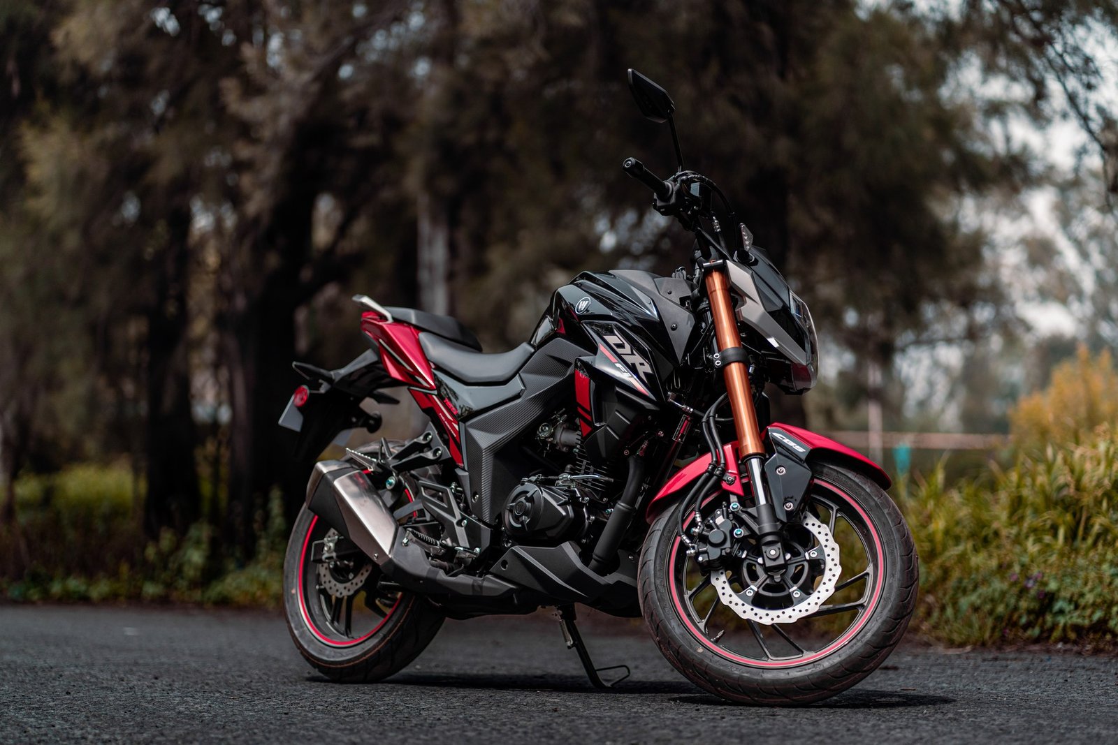 DR160 - vista 3