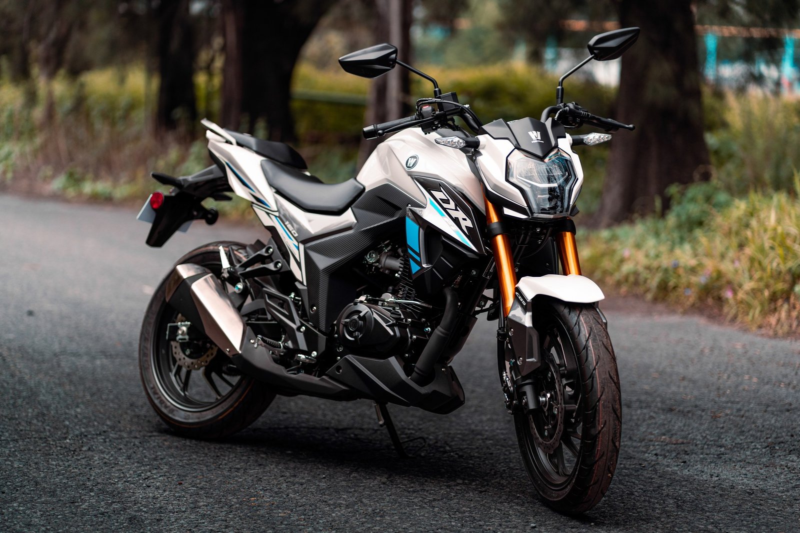DR160 - vista 4