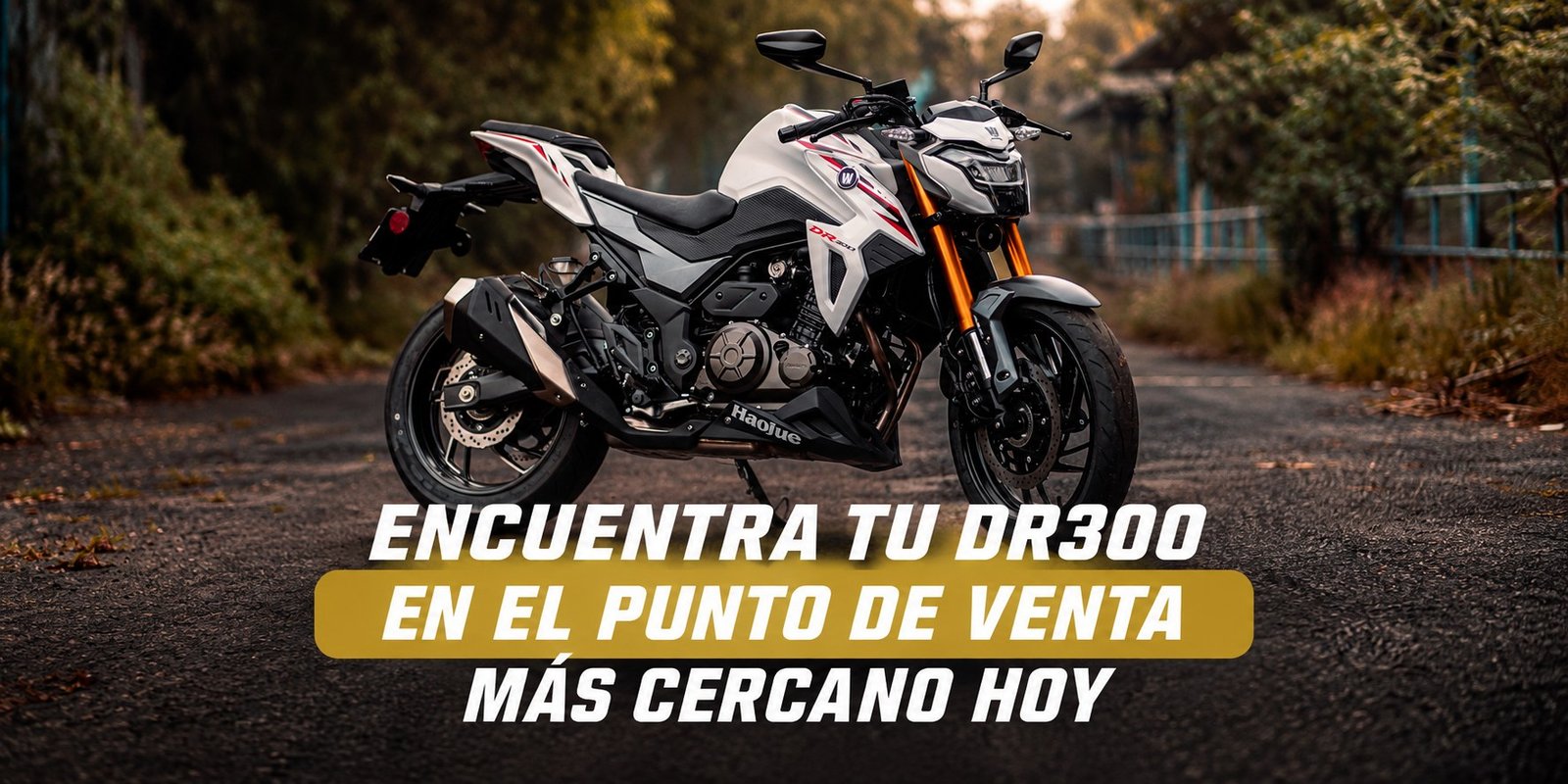 Encuentra tu DR300