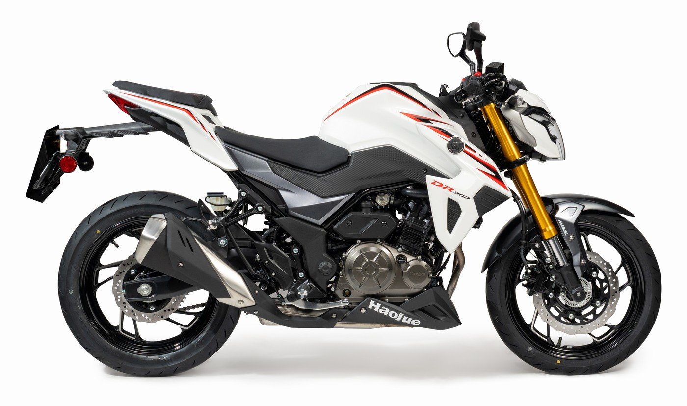 DR 300
