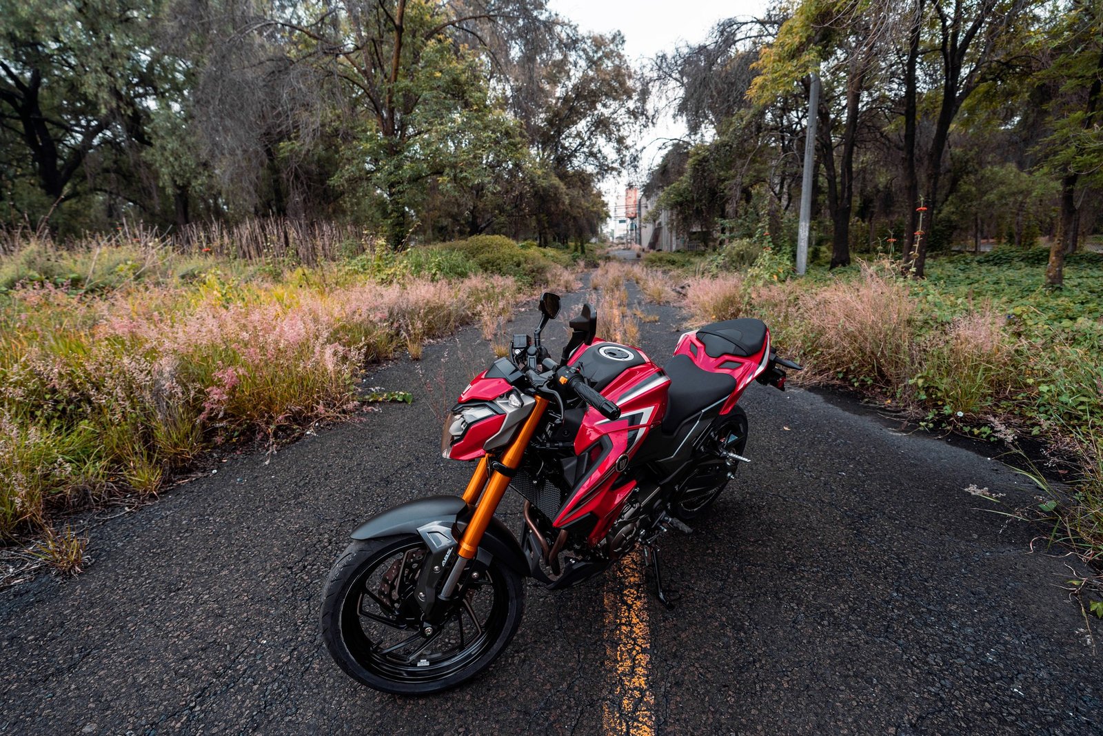 DR300 - vista 2
