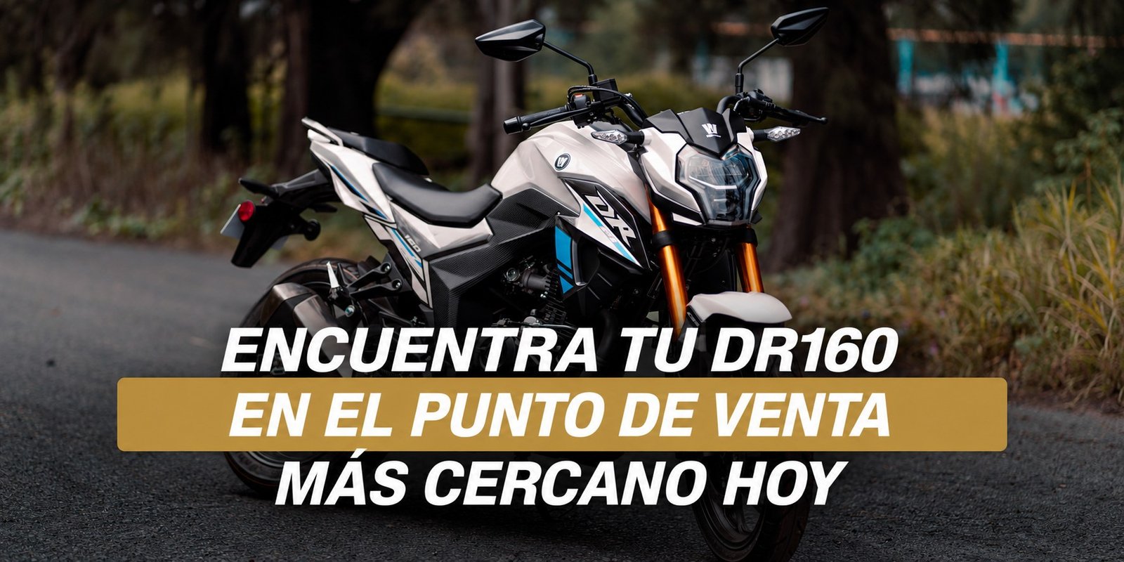 Distribuidores